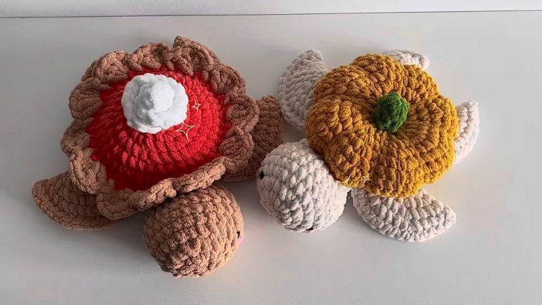 Crochet Cozy Autumn Turtles 2