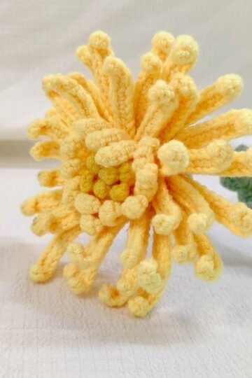 Crochet Chrysanthemum Pattern 2