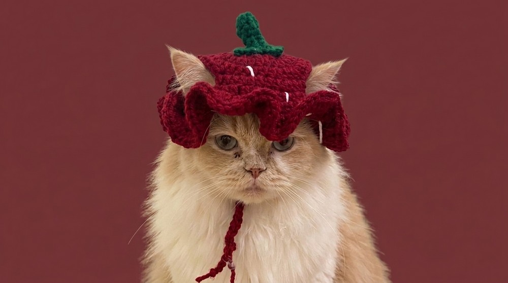 Crochet Cute Cat Hat Pattern 2